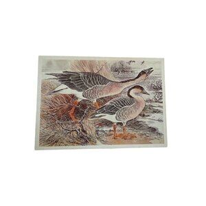 Vintage Postcard Russian Illustrated Ducks u